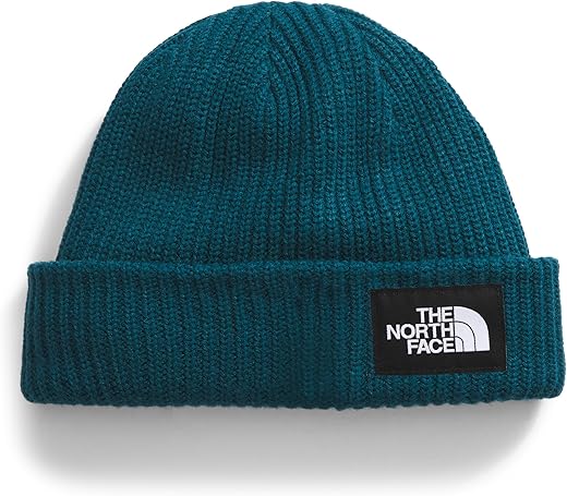 The North Face Salty Lined Beanie