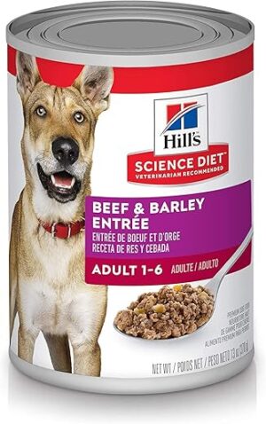 Hill’s Science Diet Science Diet Wet Dog Food, Beef & Barley