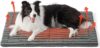 Bedsure Self Warming Dog Bed, Large Dogs