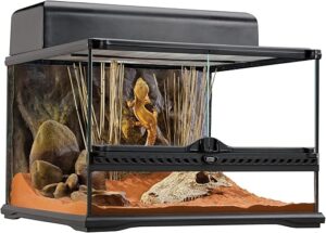 Exo Terra Short Glass Terrarium, 18x18x12-Inch