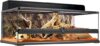 Exo Terra Short Glass Terrarium, 36 by 18 by 12-Inch