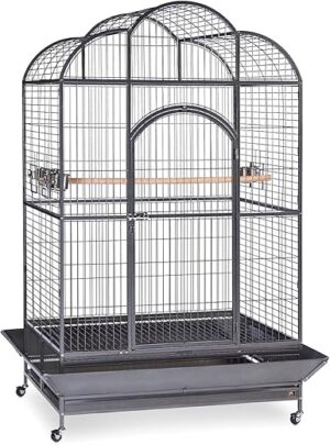 PH Prevue Hendryx Silverado Macaw Dometop Cage 3155S