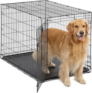MidWest Homes for Pets Single Door Collapsible Pet Cage, Black