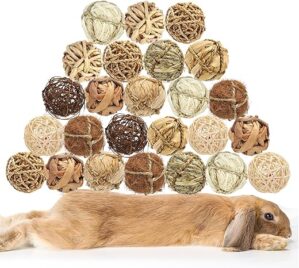 DAMPET Small Animals Chew Grass Balls Toys