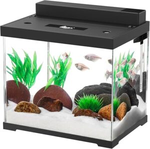 AQQA Small Glass Fish Tank, 2.4 Gallon