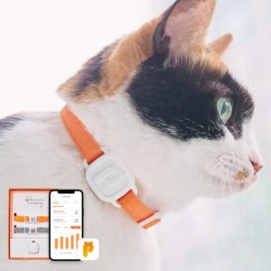 PurrSong Smartwatch For Cat With ID Tag