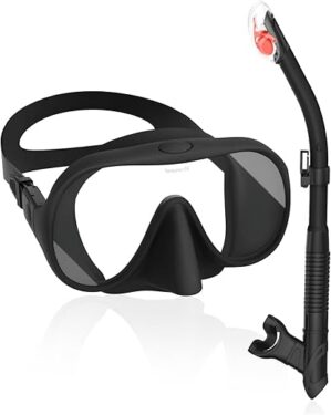Fawater Snorkel Set: 180° Clear View Mask