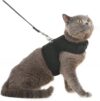 PUPTECK Soft Mesh Cat Vest Harness And Leash Set, Black XL
