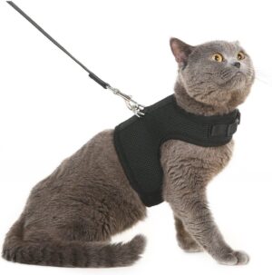 PUPTECK Soft Mesh Cat Vest Harness And Leash Set, Black XL