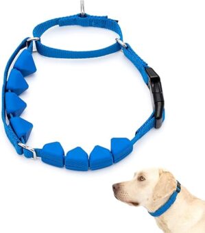 PetSafe Soft Point Training Collar - No Pull