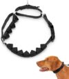 PetSafe Soft Point Training Collar – No Pull