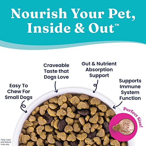 Solid Gold Mini Small Breed Chicken Dog Food - Image 4