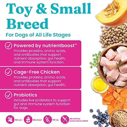 Solid Gold Mini Small Breed Chicken Dog Food - Image 5