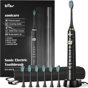 Bar Sonic Electric Toothbrush, 6 Brush Heads