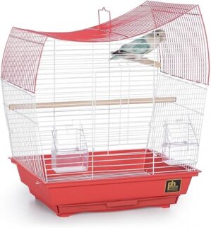PH Prevue Hendryx South Beach Wave Top Bird Cage SP50110