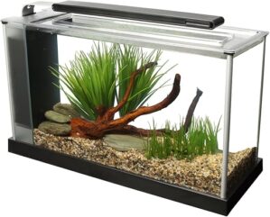 Fluval SPEC Aquarium Kit with LED Lighting, 5-Gallon