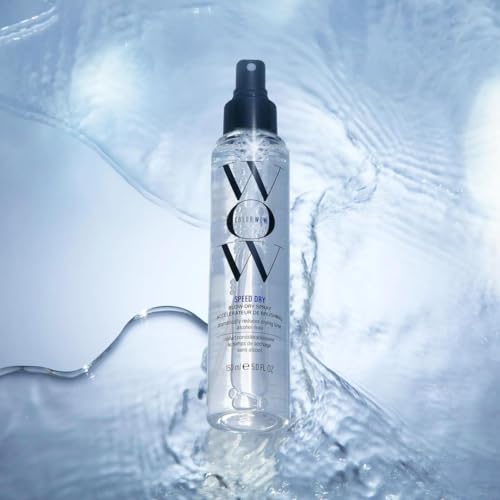 Speed Dry Blow Dry Spray β Heat Protectant, Prevent Breakage - Image 5