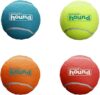 Outward Hound Squeaker Ballz Fetch Dog Toy, Small