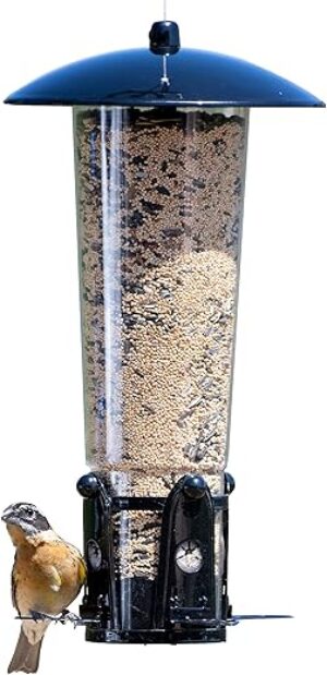 Perky-Pet Squirrel-Be-Gone Max Large Bird Feeder 333-1SR