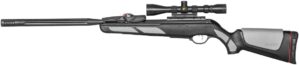 Gamo Swarm Viper 10X GEN3i .177 Cal. Air Rifle