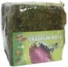 Zoo Med Terrarium Moss For 30-40 Gallons