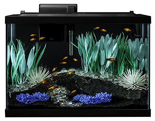 Tetra ColorFusion 20 Gallon Fish Tank Kit - Image 2