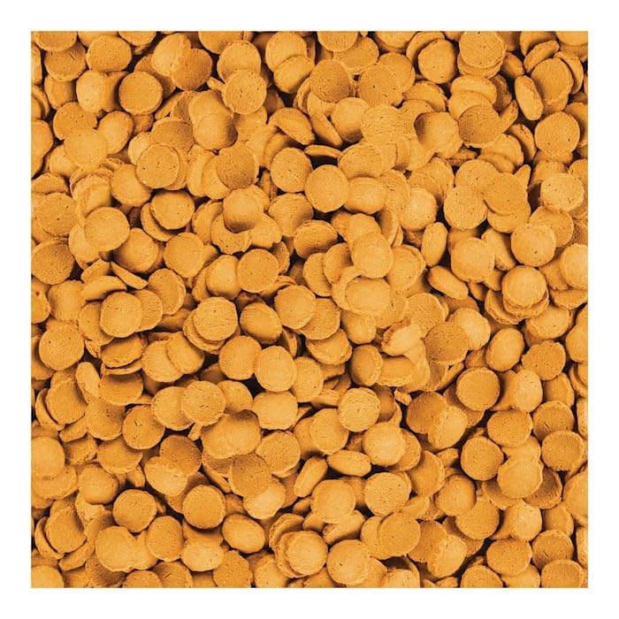 Tetra ShrimpWafers Diet for Catfish & Loaches - Image 4