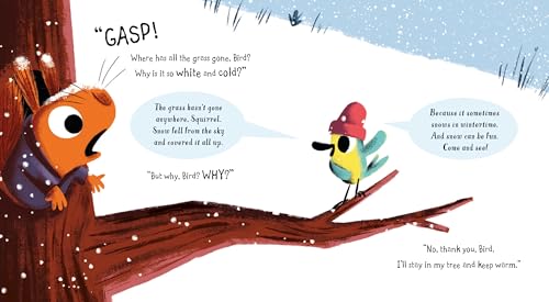 The Snow Thief: Squirrel & Bird Book - Image 2