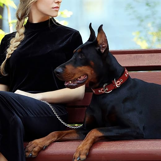 Pets First Tough Leather Dog Collar, CHI-3081-LG