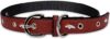 Pets First Tough Leather Dog Collar, DEN-3081-LG