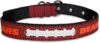 Pets First Tough Leather NFL Chicago Bears Dog Collar, Small