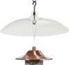 Perky-Pet Transparent 16-Inch Squirrel Baffler 340