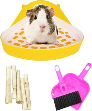 kathson Triangle Potty Trainer Corner Bunny Toilet