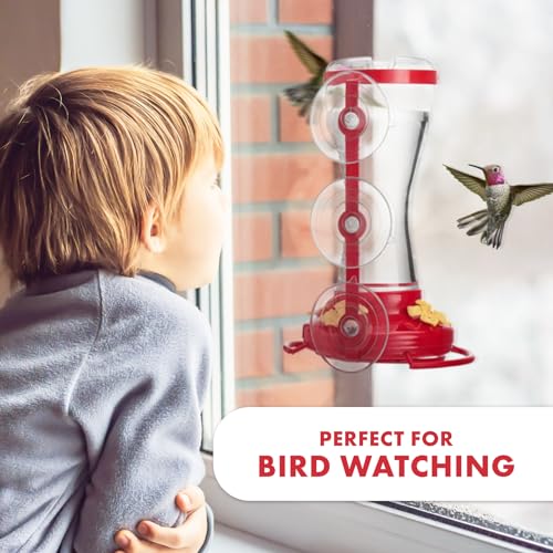 Twinkle Star Window Hummingbird Feeder Suction Cup - Image 3