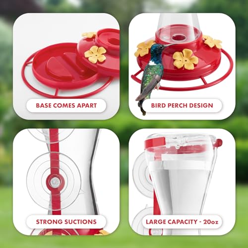 Twinkle Star Window Hummingbird Feeder Suction Cup - Image 4