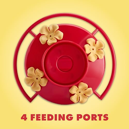 Twinkle Star Window Hummingbird Feeder Suction Cup - Image 5
