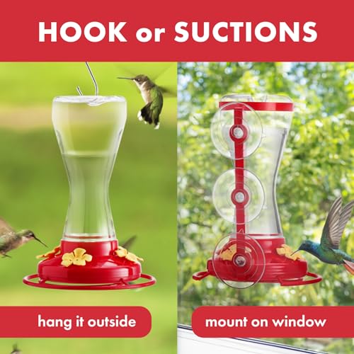 Twinkle Star Window Hummingbird Feeder Suction Cup - Image 2