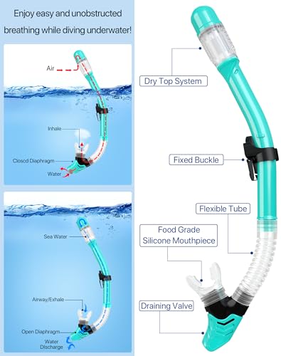 Ubekezele Snorkeling Gear Set With Mask, Snorkel, Fins - Image 3