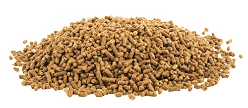 UltraCruz Equine Wellness Supplement, 60 Servings - Image 3