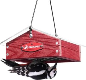 Kingsyard Upside Down Suet Feeder With Rainproof Roof