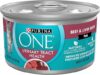 Purina ONE Urinary Tract Health Wet Cat Food