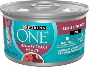 Purina ONE Urinary Tract Health Wet Cat Food