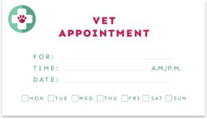 Andaz Press Veterinarian Appointment Business Cards, Bulk 100