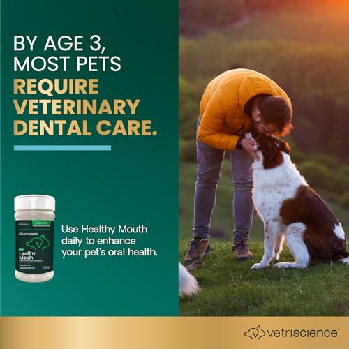 VETRISCIENCE Healthy Mouth Dog Dental Powder - Image 3