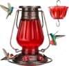 Kingsyard Vintage Lantern Style Glass Hummingbird Feeder