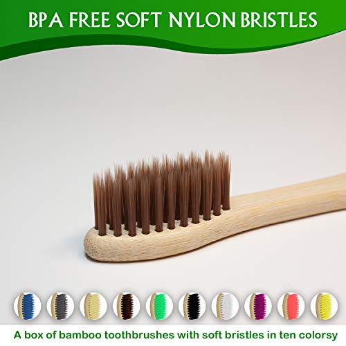 Virgin Forest Bamboo Toothbrush Set, Soft Bristle, Eco-Friendly - Image 2