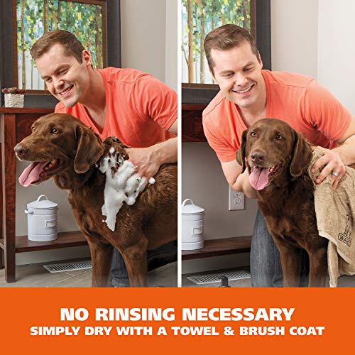 Wahl Pet Waterless Shampoo Oatmeal & Coconut Lime Verbena - 7.1 Oz - Image 3