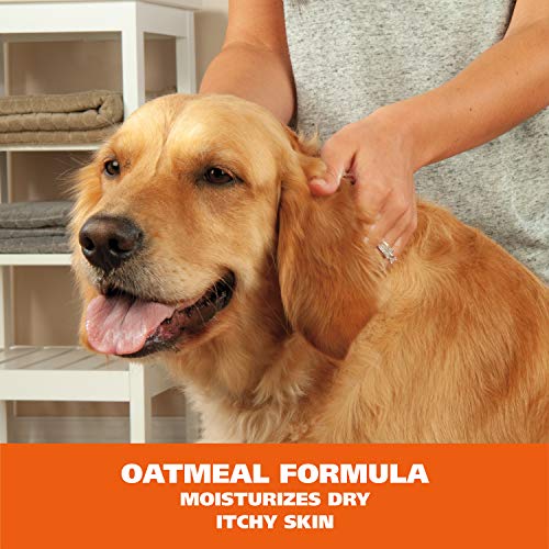 Wahl Pet Waterless Shampoo Oatmeal & Coconut Lime Verbena - 7.1 Oz - Image 5