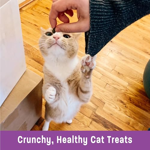 Wellness Chicken & Cranberries Cat Treats, 2-Ounce - Image 5