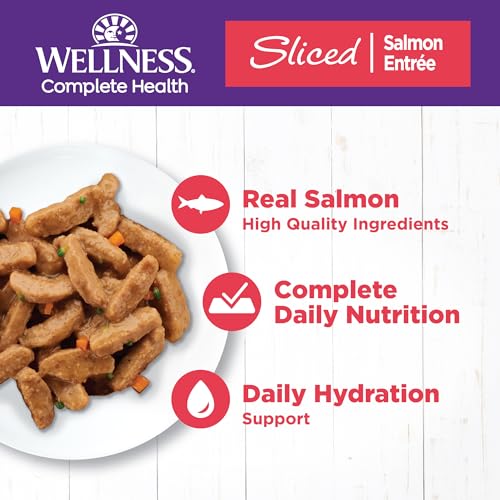 Wellness Complete Health Grain Free Canned Cat Food, Salmon, 5.5 Oz (Pack of 24) - Image 3